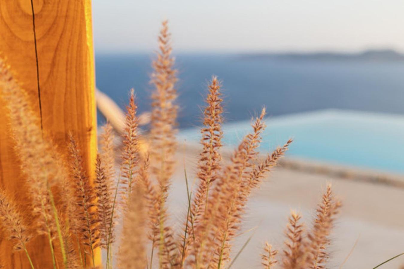 Birdhouse Private Luxury Villa Agios Ioannis Diakoftis